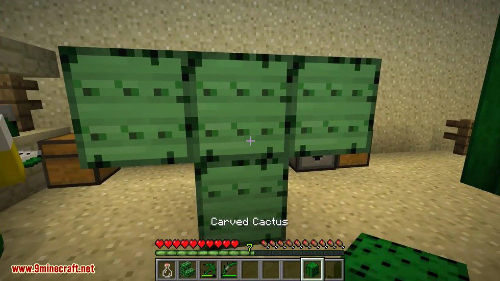 The Cactus Mod Screenshots 18