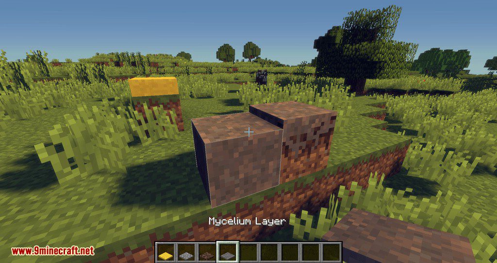 Block Layering mod for minecraft 04