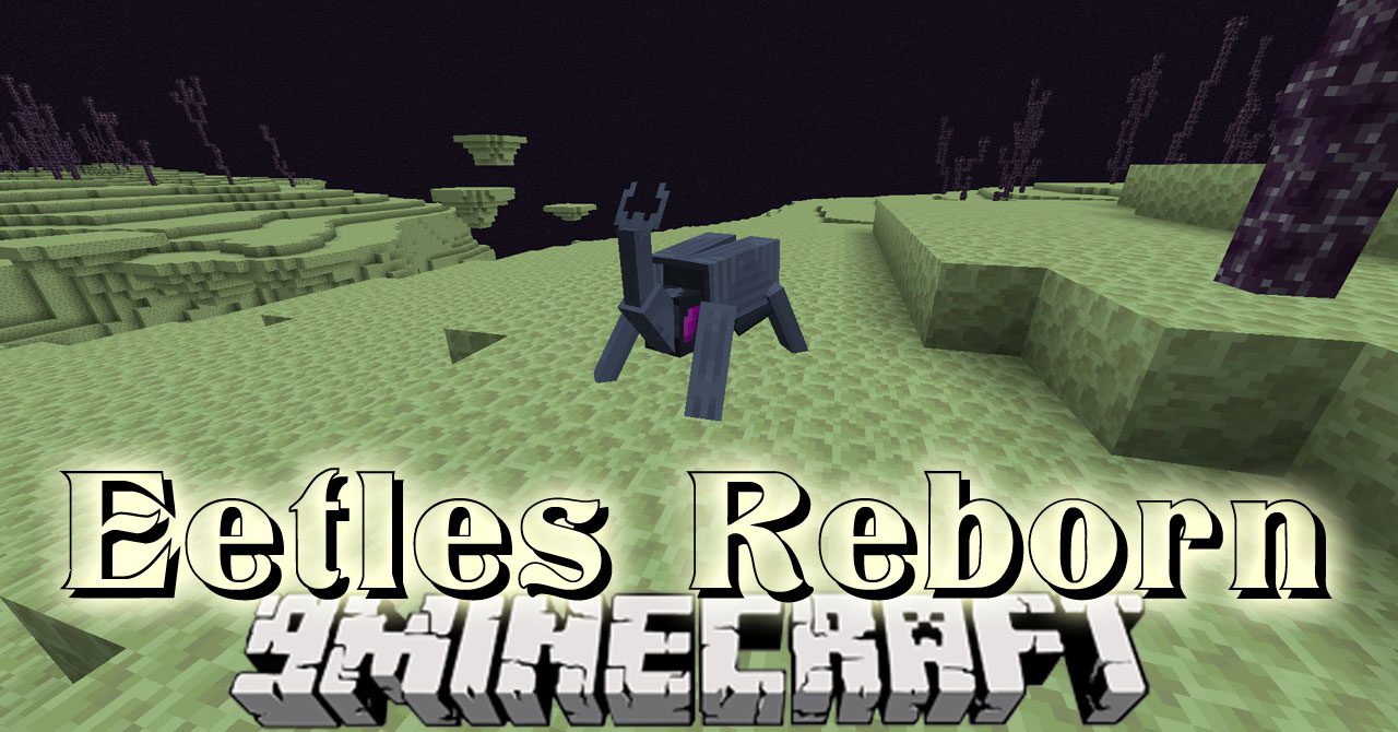 End: Reborn Mod for Minecraft 1.16.5, 1.15.2 and 1.12.2