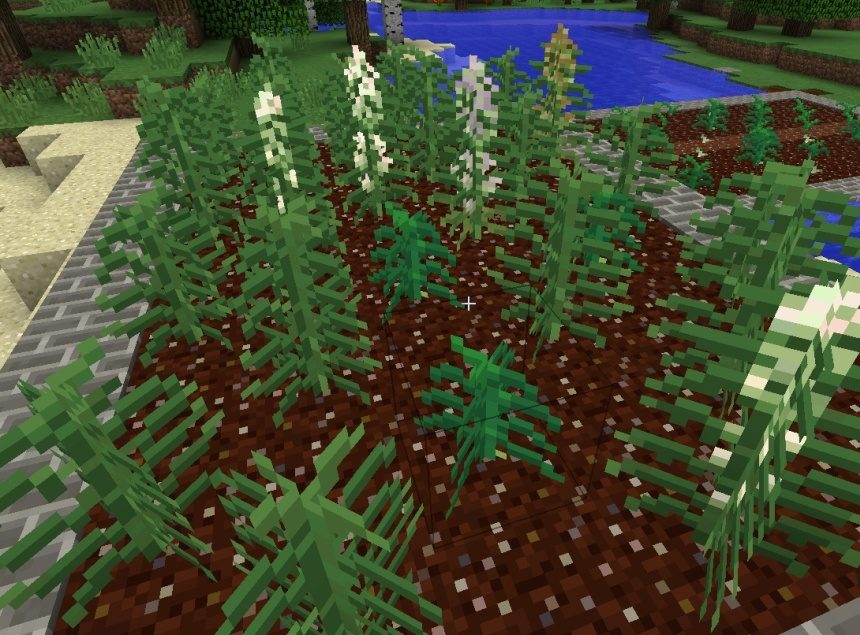 Immersive HempCraft mod for minecraft 14