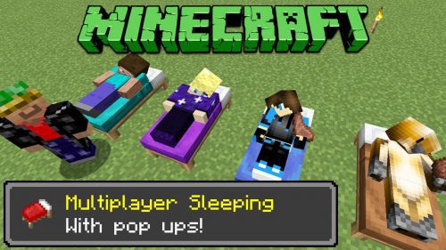 Multiplayer Sleeping Data Pack Thumbnail