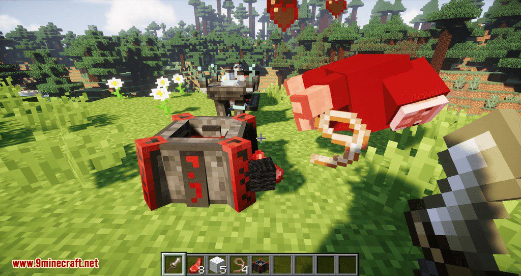 Animus Mod for minecraft 04