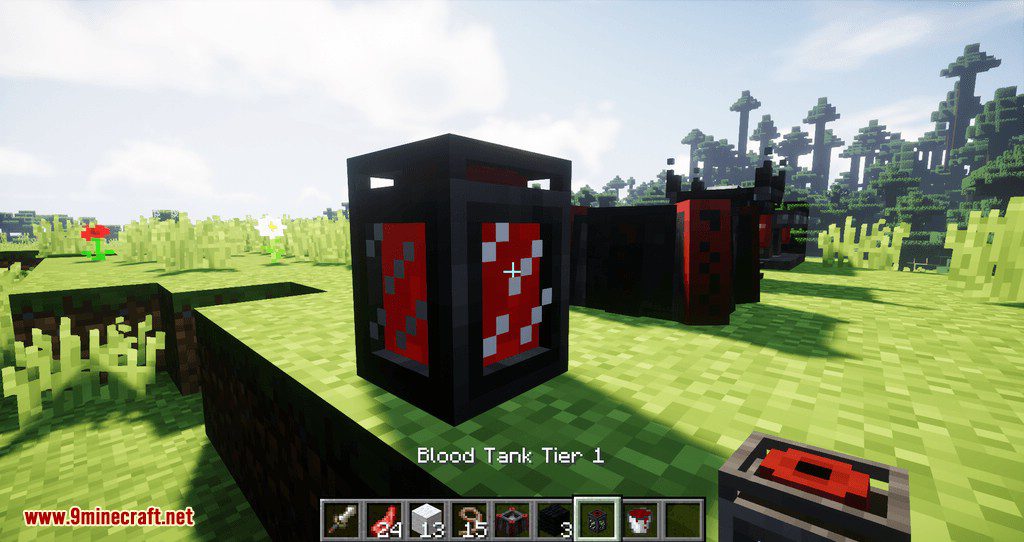 Animus Mod for minecraft 09