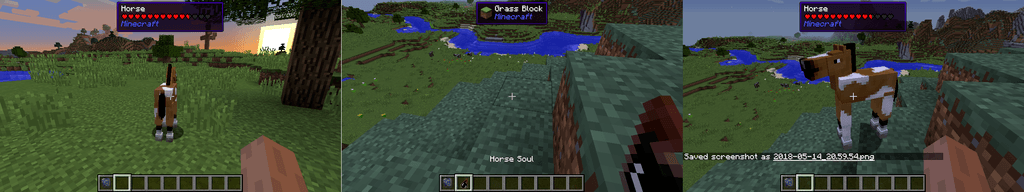 Animus Mod for minecraft 19