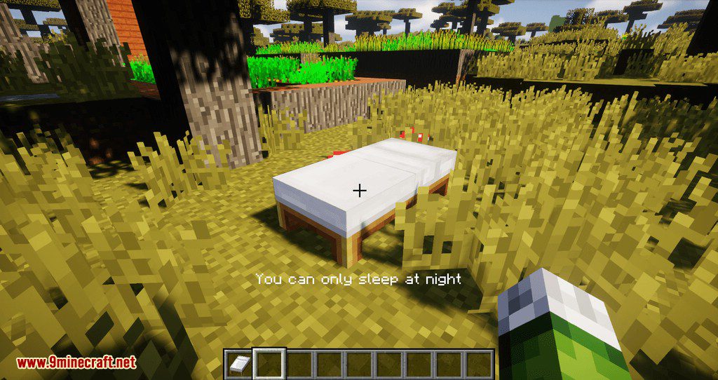 Cosmetic Beds mod for minecraft 03