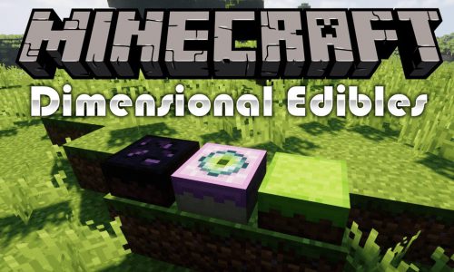 The Outer End Mod 1.16.5, 1.16.4 (Endgame, Endcity) 