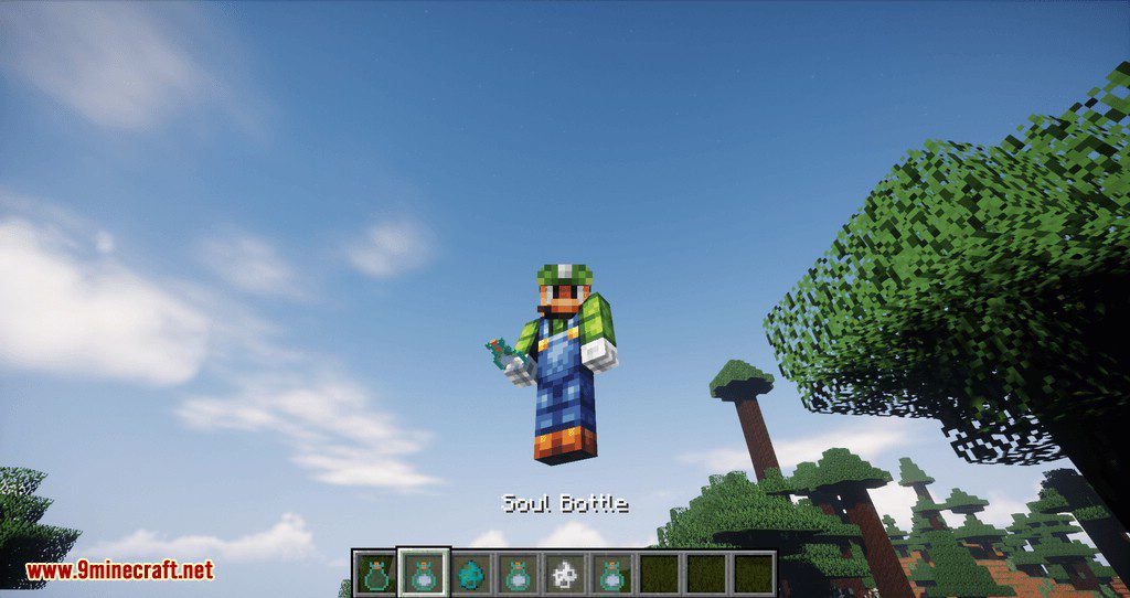 Soul Bottle mod for minecraft 10