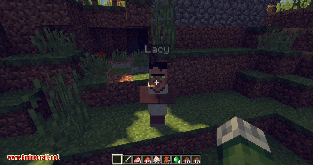 Improved Villagers mod for minecraft 08