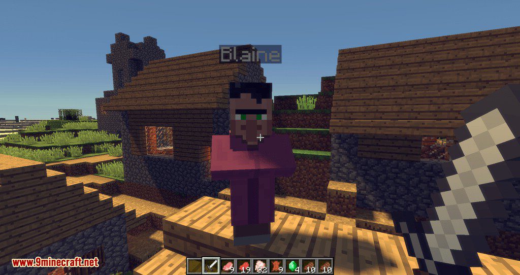 Improved Villagers mod for minecraft 10