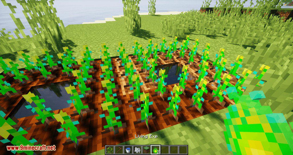 Living Exp mod minecraft 03