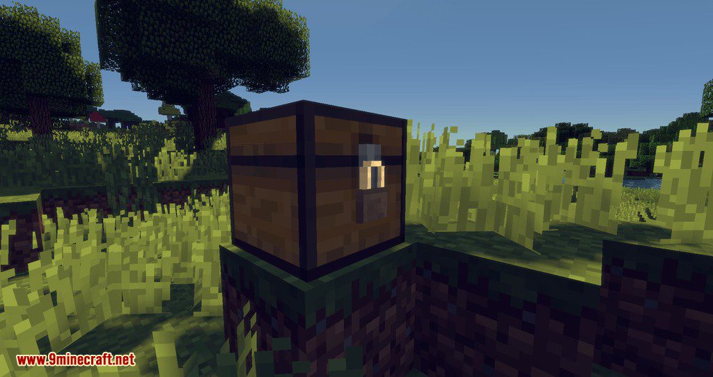 Locks mod for minecraft 01