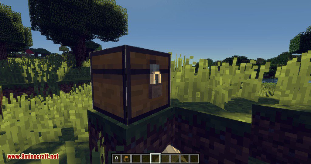 Locks mod for minecraft 02