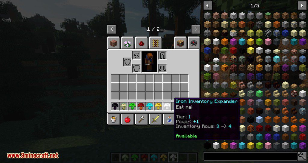 Expandable Inventory mod for minecraft 02