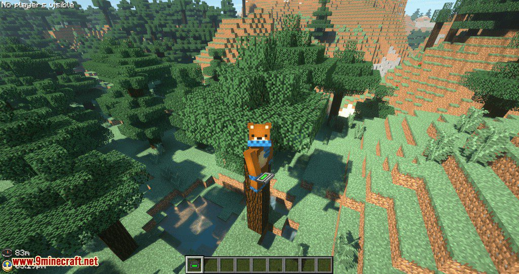 GPS / Stalker Mod for minecraft 06