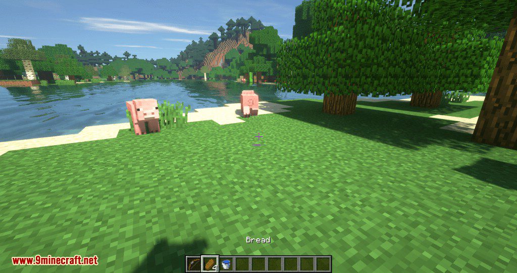 HotSwap mod for minecraft 03