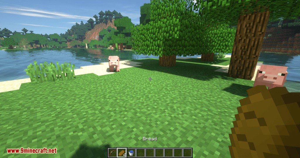 HotSwap mod for minecraft 06