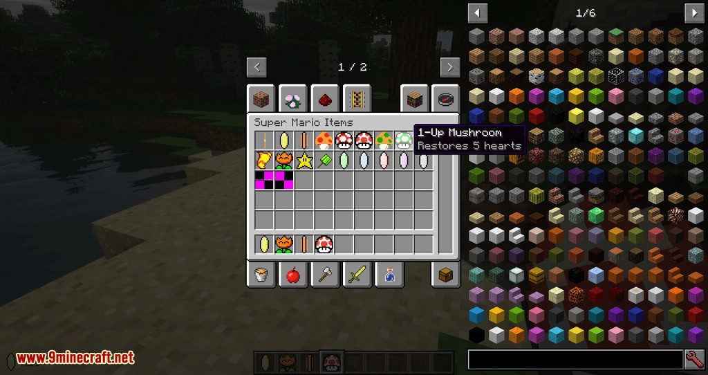 Mario Mod 2 mod for minecraft 11