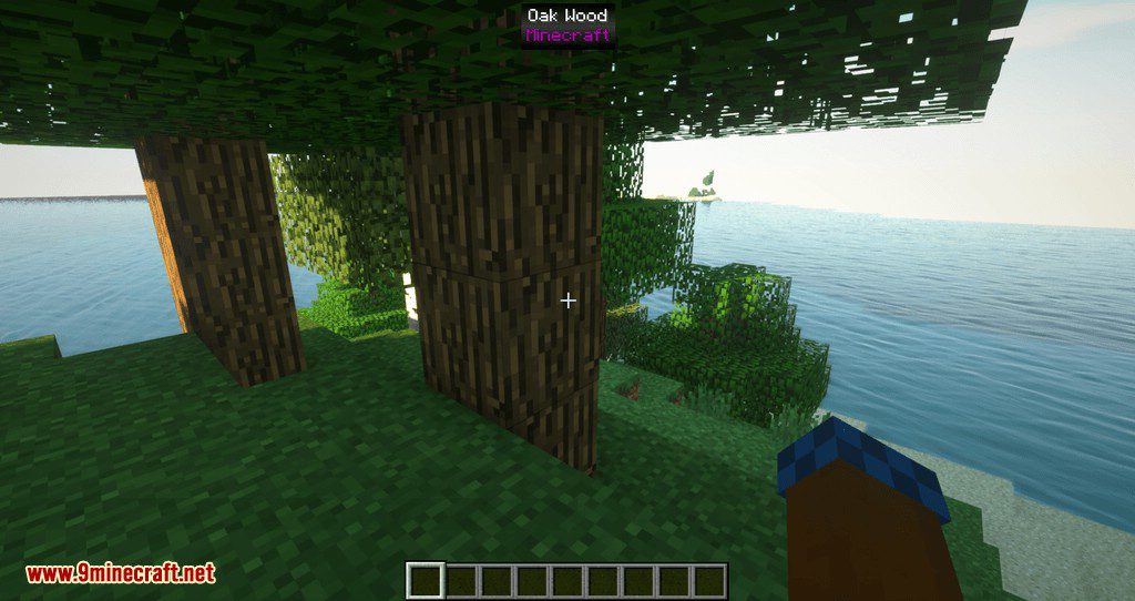 WIT mod for minecraft 02