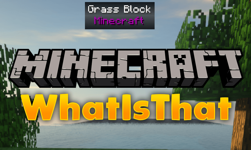 WIT mod for minecraft logo