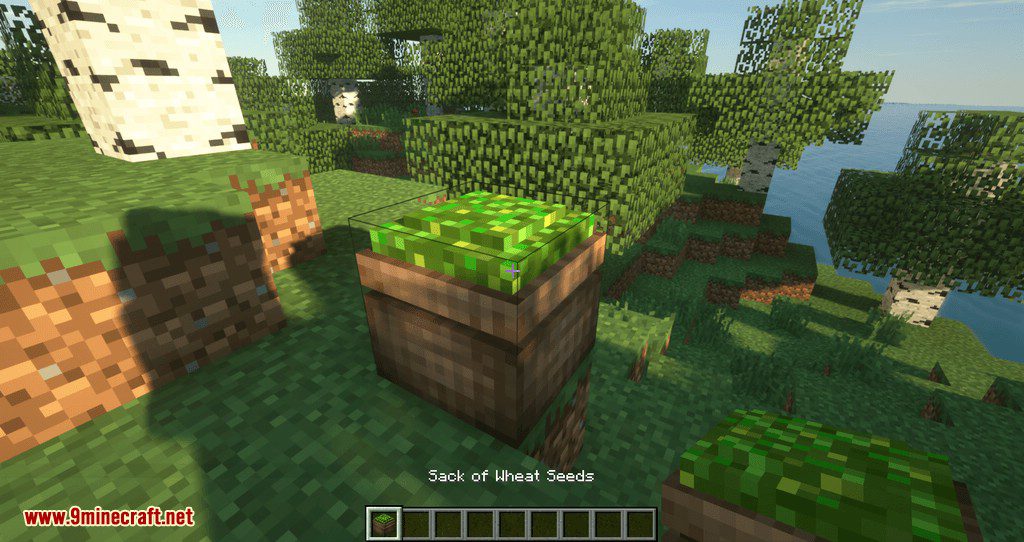 Compressed Items mod for minecraft 02