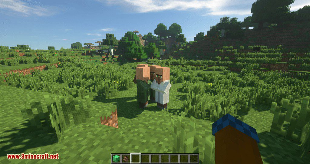 Following Villagers mod for minecraft 03