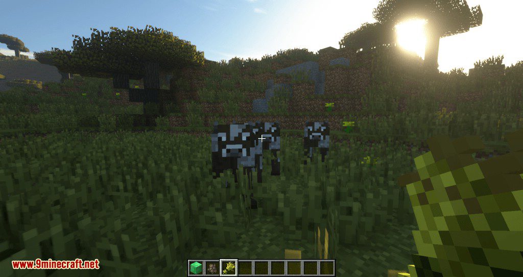 Following Villagers mod for minecraft 06