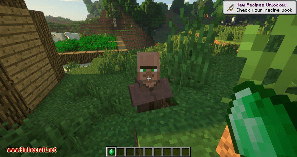 Following Villagers mod for minecraft 07