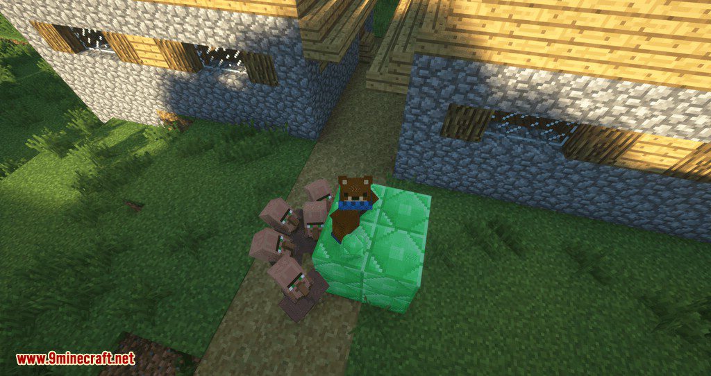 Following Villagers mod for minecraft 08