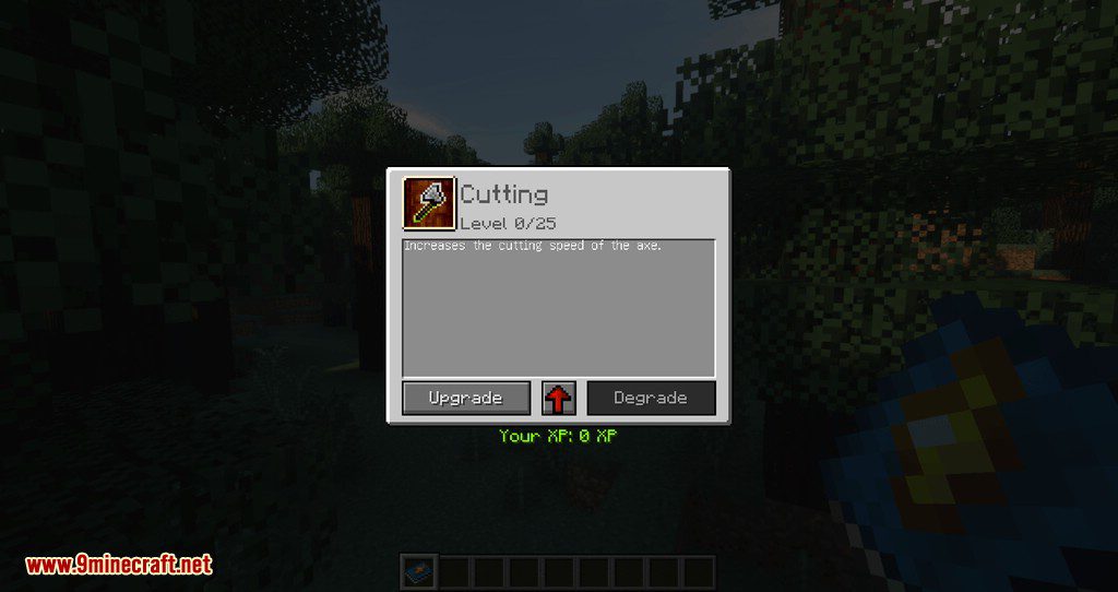 Improvable Skills mod for minecraft 03