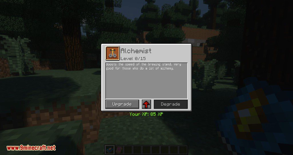 Improvable Skills mod for minecraft 11