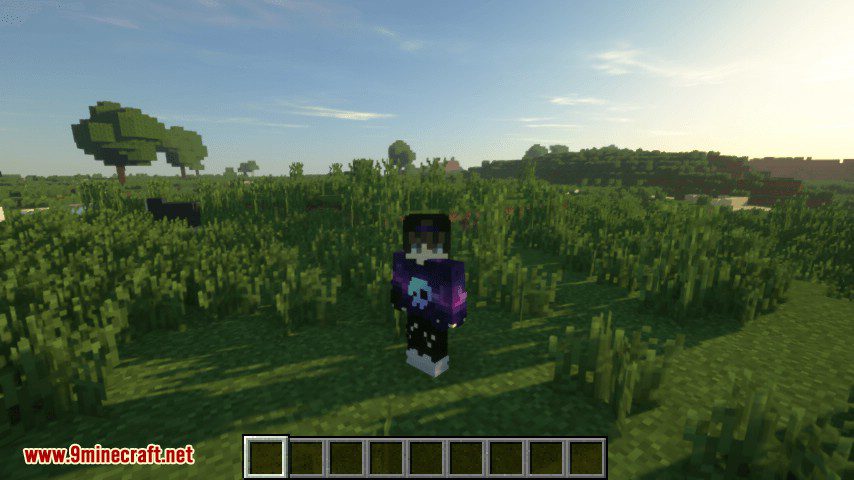 Offline Skins mod for minecraft 06