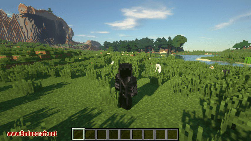 Offline Skins mod for minecraft 09