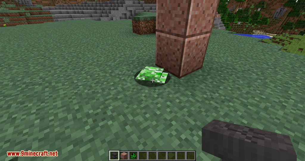 Squash mod for minecraft 11