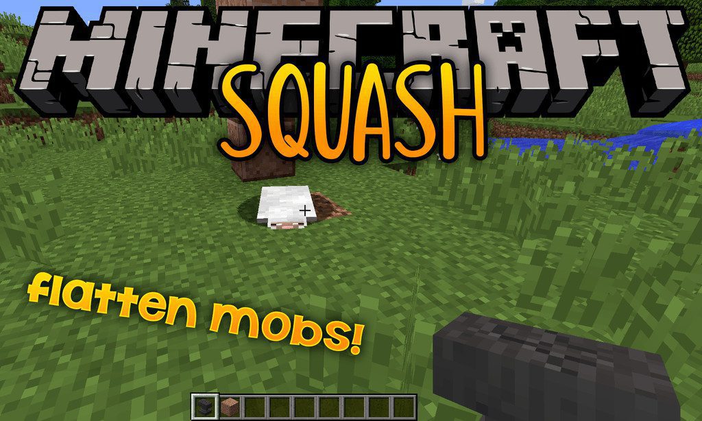 Squash mod for minecraft logo