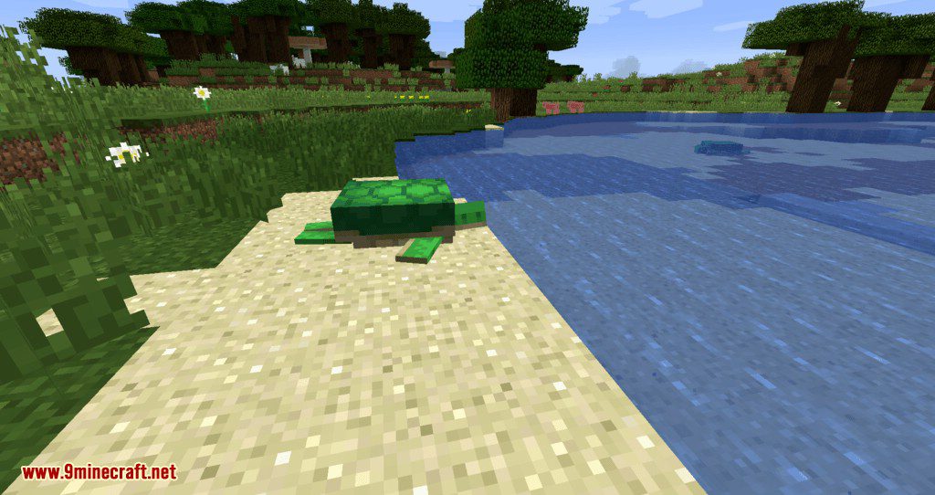 Turtle Shell Drop mod for minecraft 02