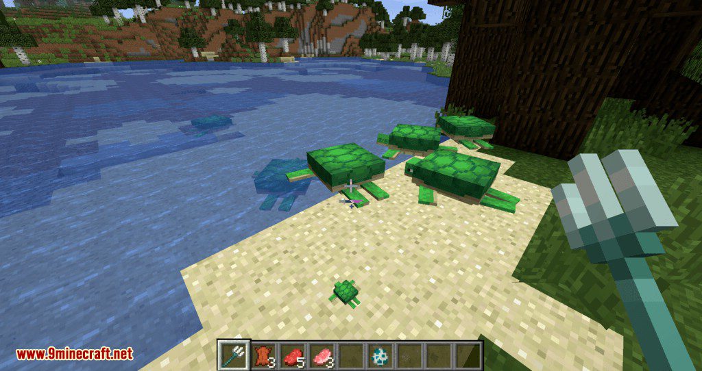 Turtle Shell Drop mod for minecraft 03