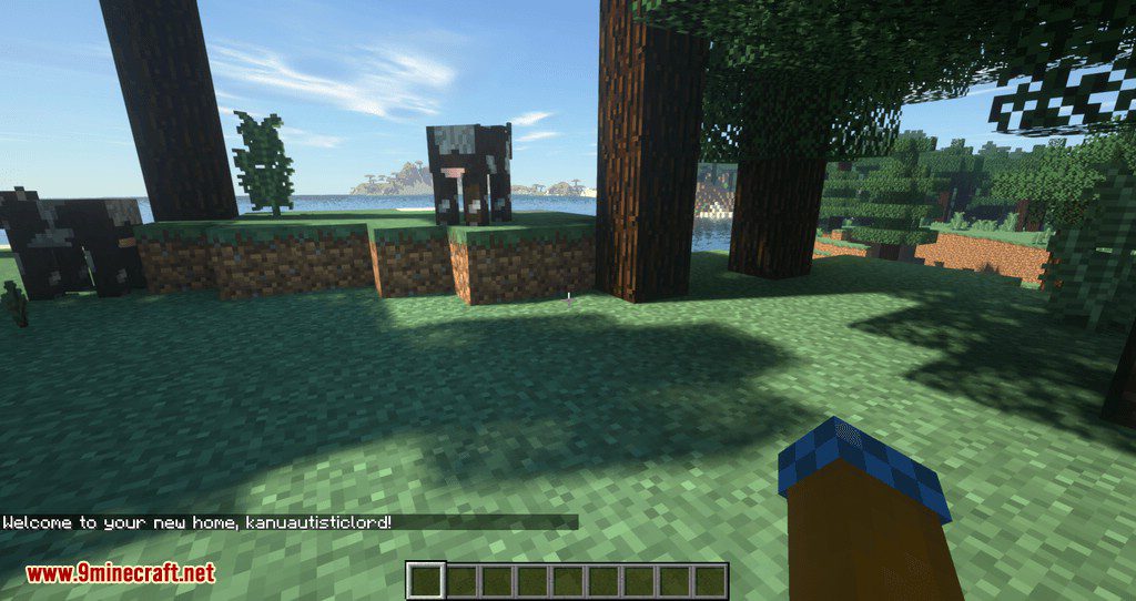 get back to home mod for minecraft 03