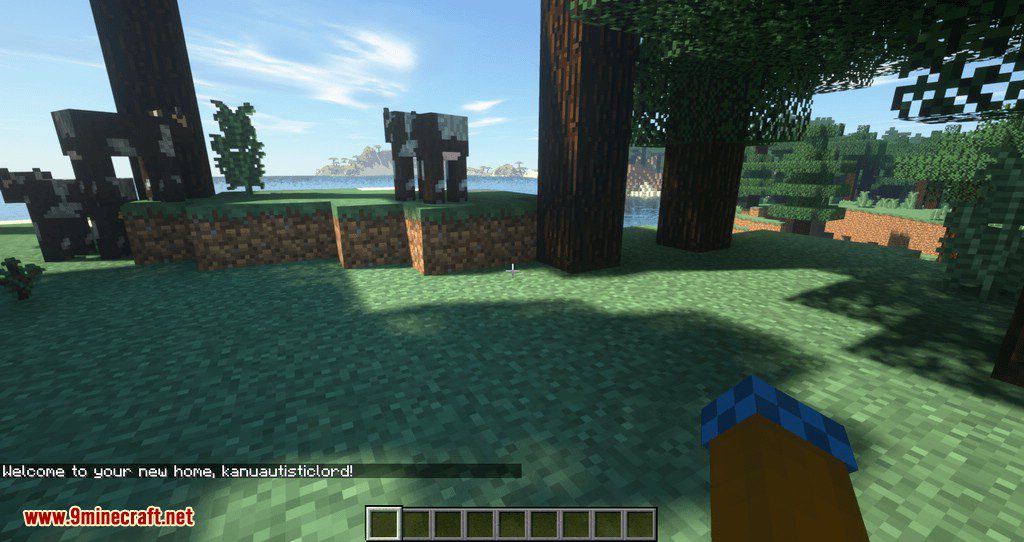 get back to home mod for minecraft 05