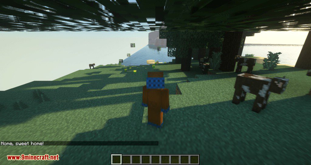 get back to home mod for minecraft 07