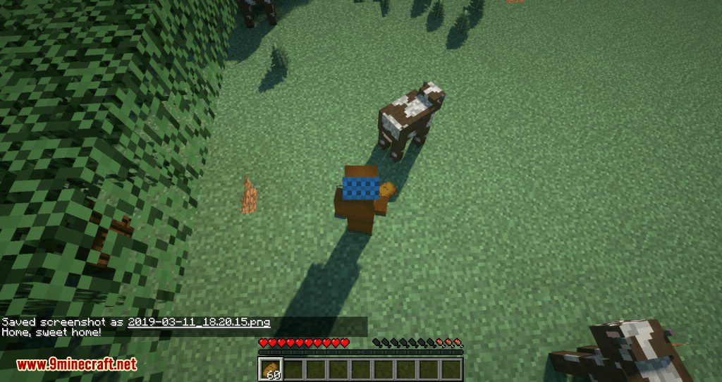 get back to home mod for minecraft 09