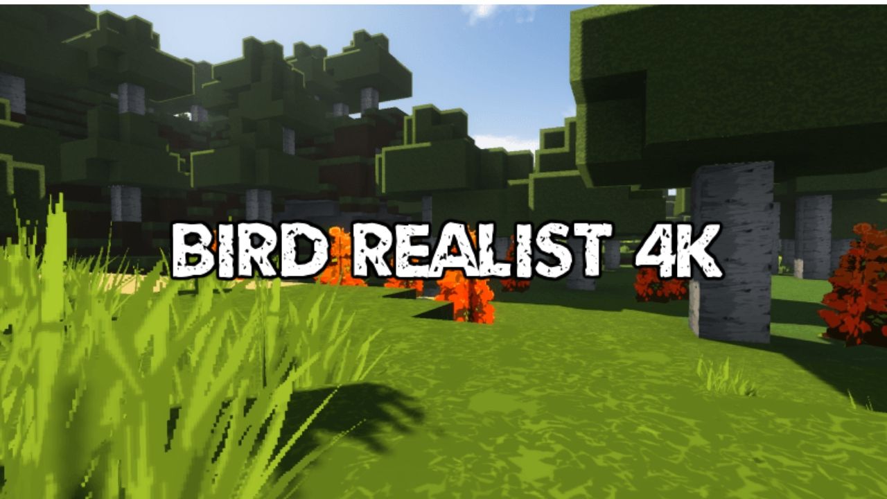 Bird Realist 4k Resource Pack