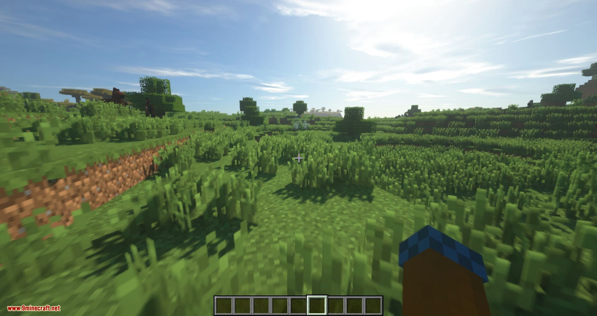 Custom FOV mod for minecraft 09