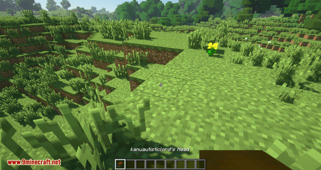 Just Player Head Mod (1.20.4, 1.19.4) - Players Drop Head on Death