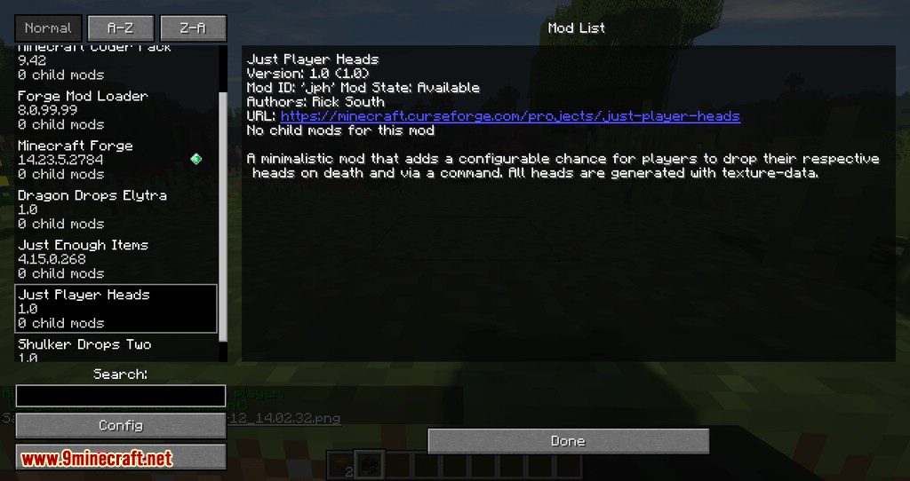 Just Player Head mod for minecraft 10