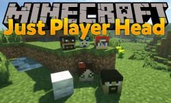 download more player models 1.10.2