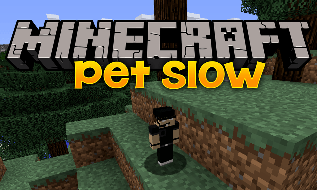 Pet Slow mod for minecraft logo