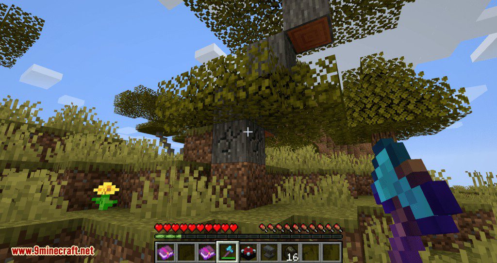 More Enchantments mod for minecraft 06