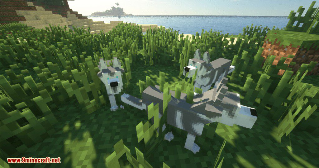 PetCraft mod for minecraft 05