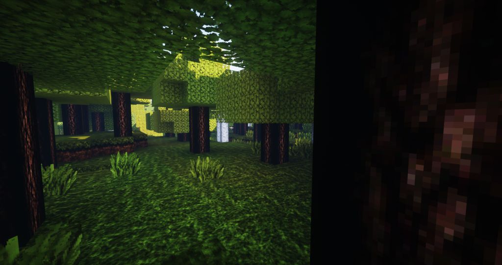 ReaLife Resource Pack Screenshots 7