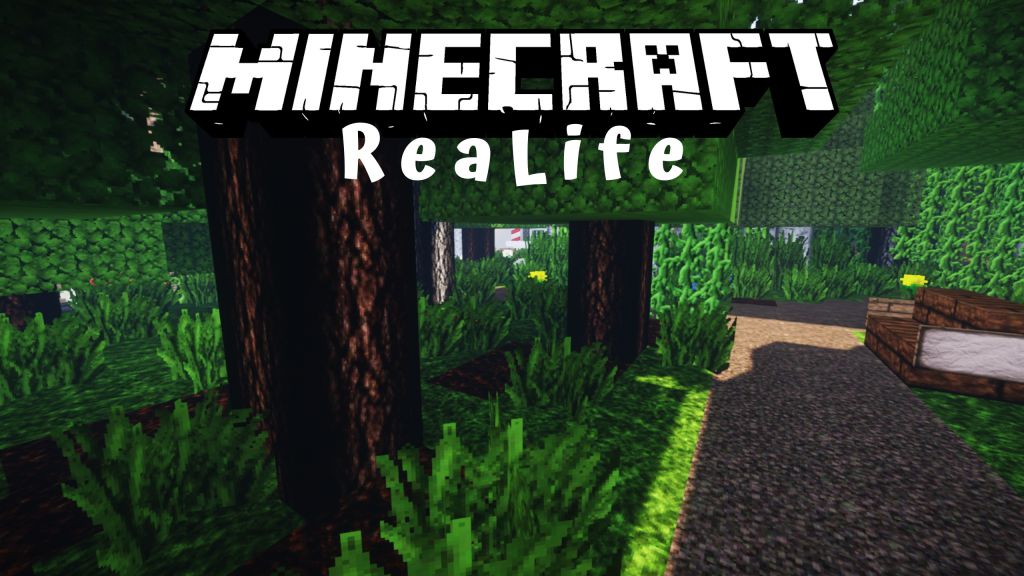 ReaLife Resource Pack